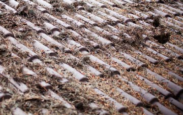 Hamp roof cleaning companies