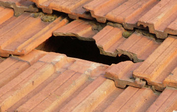 roof repair Hamp, Somerset